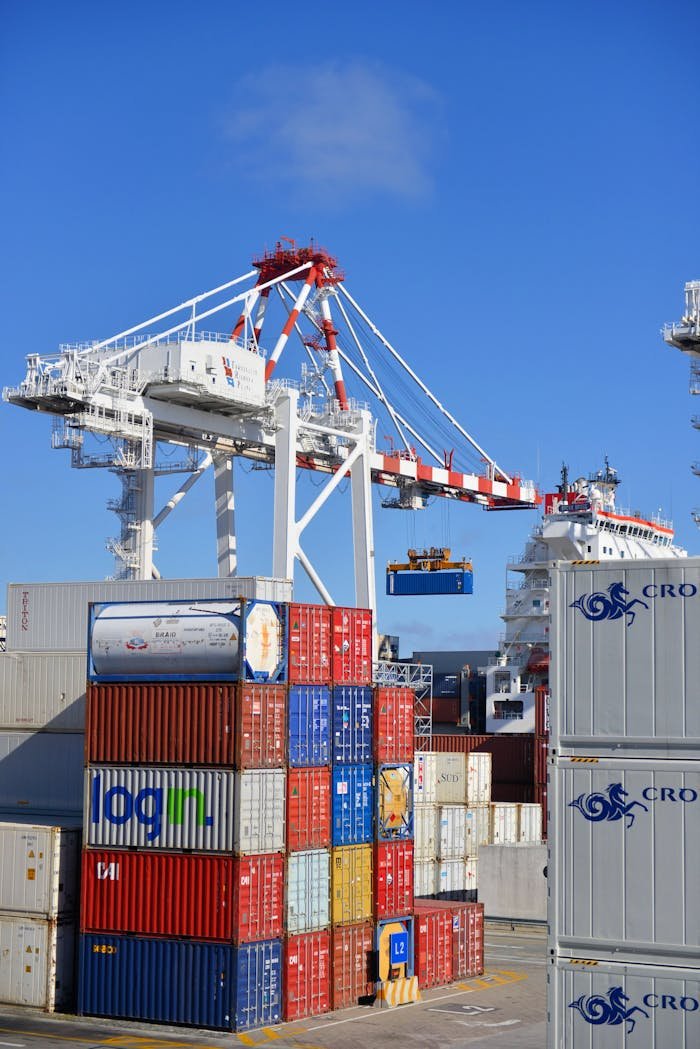 Home Colorful shipping containers stacked in a busy port with cranes overhead.